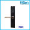 PHGLOCK FP6601